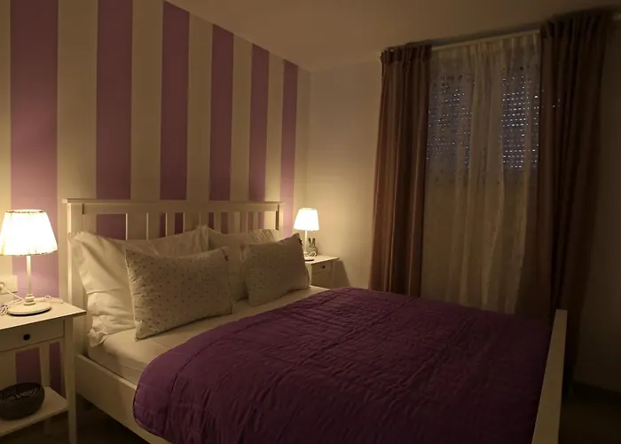 Niviga * 마카르스카